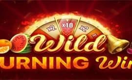 Wild Burning Wins: Classic 5 Lines
